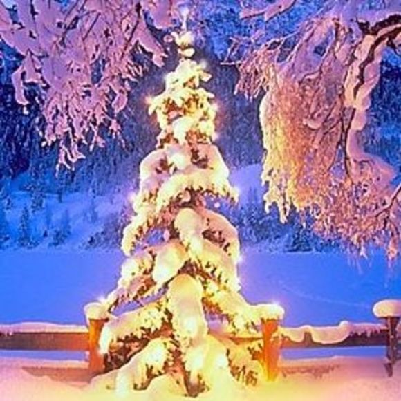 Meet your Posher, Laura - Picture 1 of 1